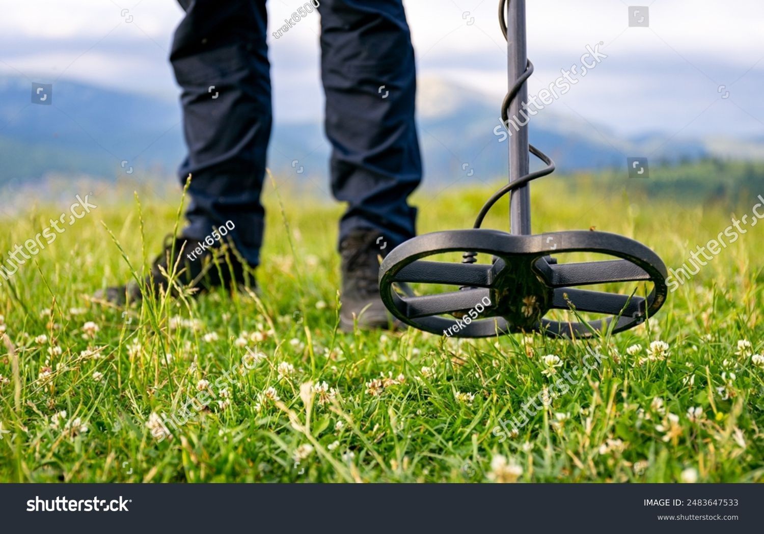 Person using a metal detector in a grassy field with mountains in the background.